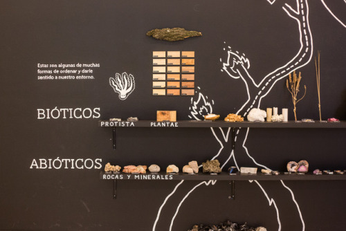 ÍNDICE DE MATERIALES
En Colaboración con Manuel Alcalá y la Sala Educativa del Museo Tamayo