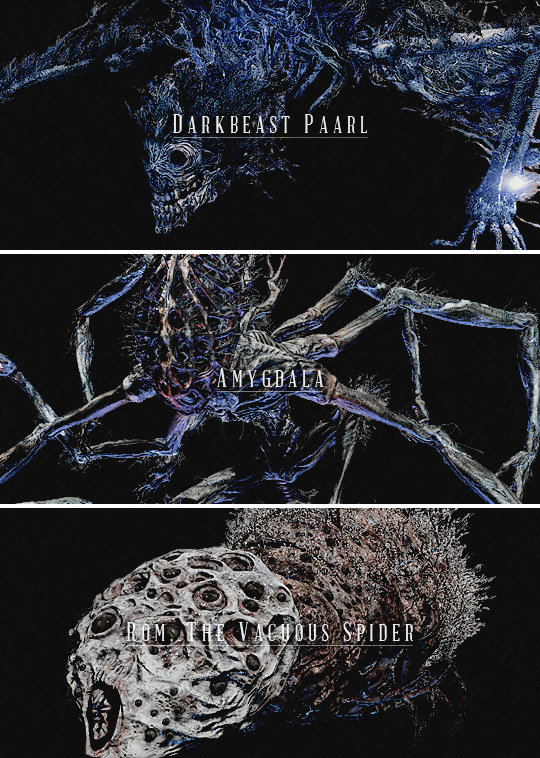 otherslices:  swordofmoonlight:  Bloodborne || Bosses  Man I wanna play this game