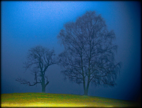 im Nebel - morning fog by NPP-publik_oberberg-3,2mio views:-) on Flickr.
