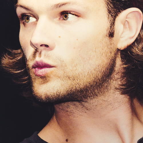saltylecki:{ ♡ }