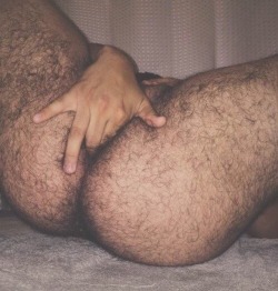 masculine-man-meat:  Furry and phat hole