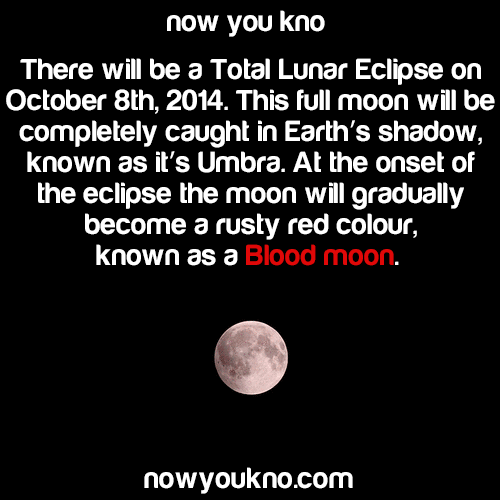 nowyoukno:   Eastern Daylight Time (October 8, 2014)Partial umbral eclipse begins: