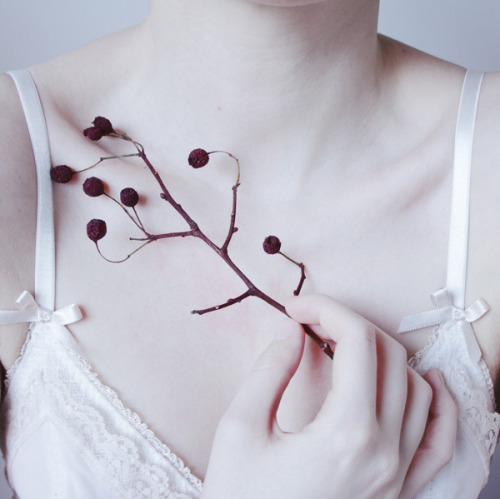 January by Nishe