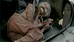 thewalkingdead:  You don’t have to. You don’t.Brutal.     The last episode was