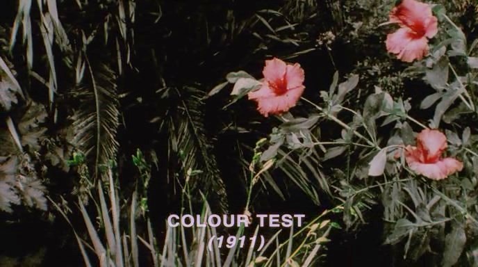 magic-of-cinema:    Forgotten Silver 1995 /  Costa Botes, Peter Jackson  