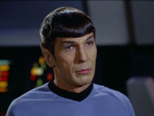 anotherfallenchild: Star Trek: The Original Series - A Summary