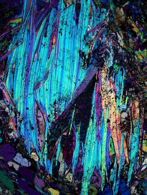 luna-and-mars: The incredible textures of metamorphic rocks under the microscope Rocks are beautiful