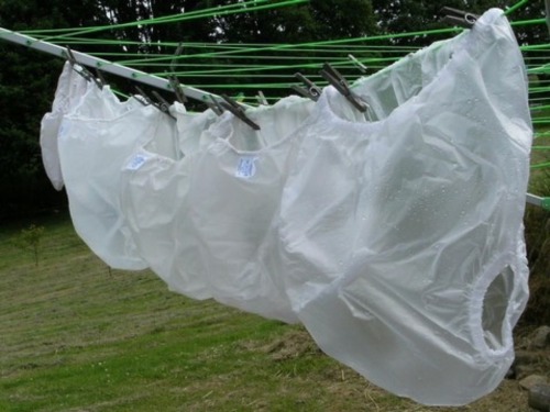 stillinnappies: Wish these were in my garden. “SURE DO WISH I COULD FIND THESE PLASTIC PANTS S