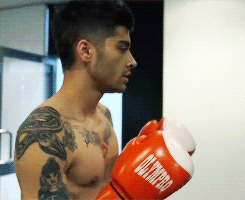 gay4zayn:  1D Day Footage 