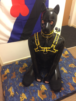 puppixel:  Blackstyle Pix made an appearance last night, can’t wear this hood for too long but I love it anyway