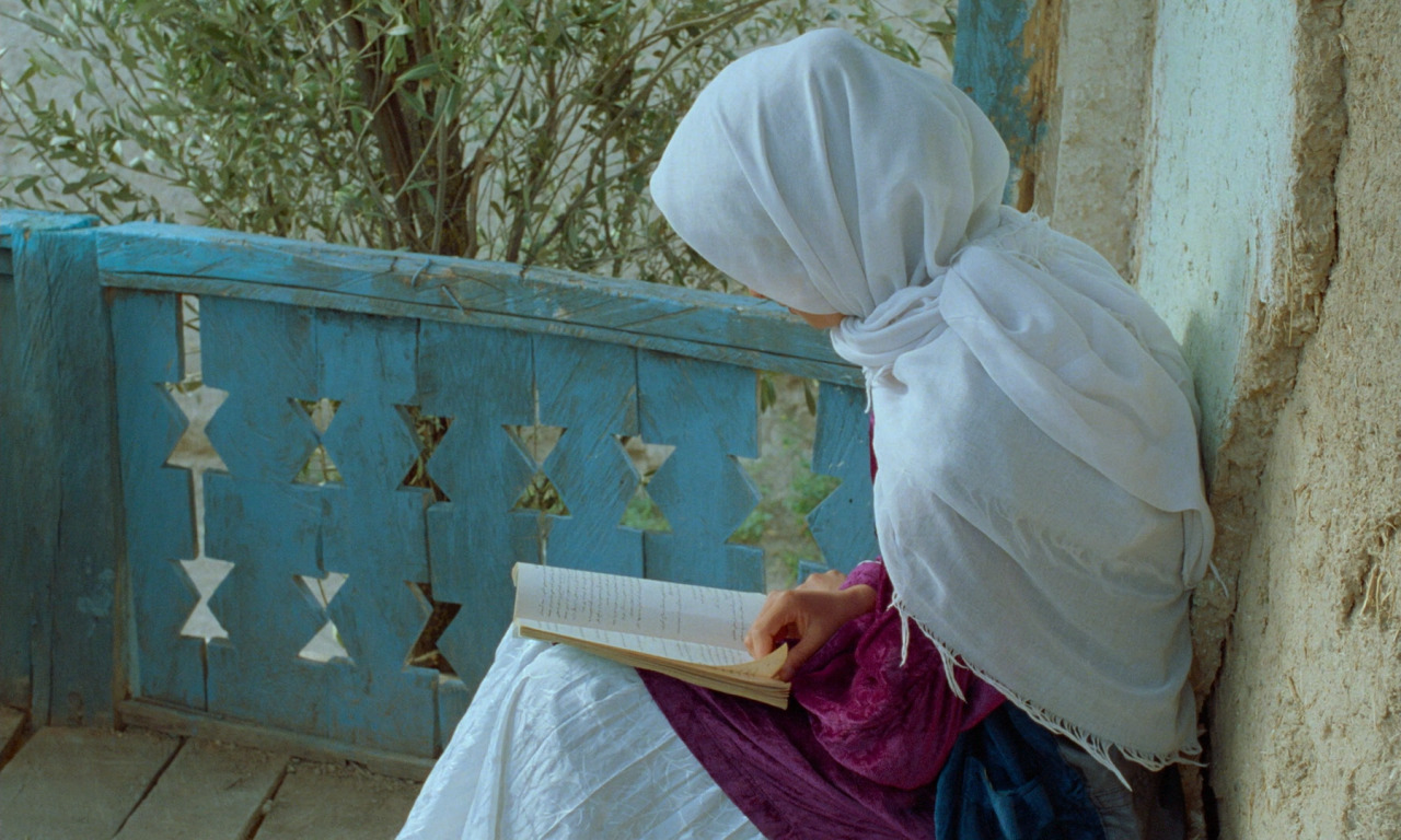 artfilmfan:  Through The Olive Trees (Abbas Kiarostami, 1994)