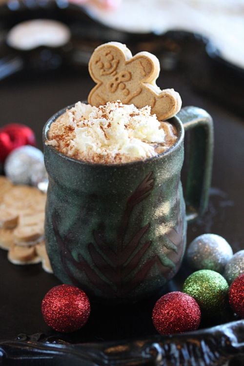 confectionerybliss:Gingerbread Hot Cocoa | The Hopeless Housewife®