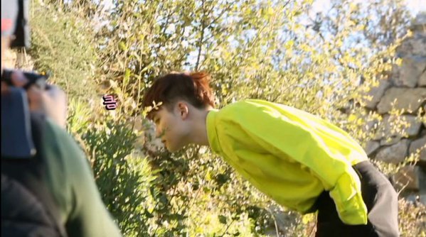 jonginssoo:  kyungsoo could smell sesame so he disrupted the photoshoot just to find