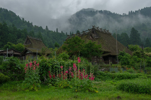 uroko:Miyama, Kyoto / 美山（京都）