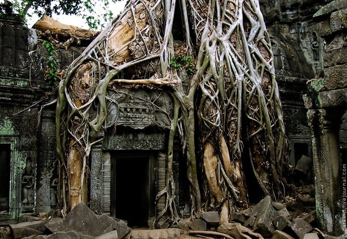 uninterrupted-happiness:  Ta Prohm _  is a temple at Angkor, Cambodia, built in