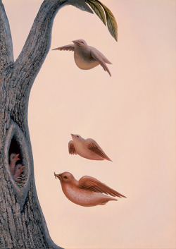 surreelust:  Family of Birds by Octavio Ocampo 