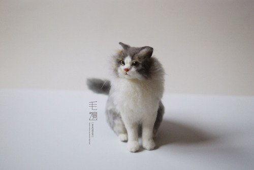 ▋ Persian cat ( custom-made ) Sculpture approximately 10 x 16 x 17 cm ( not including the tail )