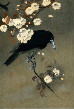 twirld: Ohara Koson (1877 - 1945) Crow and