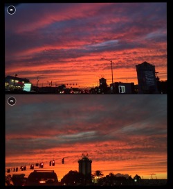 thequeensz6:  Sunsets are proof that endings can also be beautiful too.