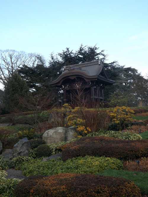 Kew Gardens, London. New Year’s Eve.