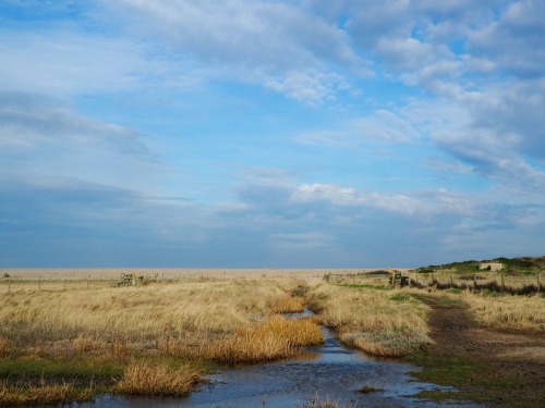 Salthouse, North NorfolkFebruary 2022