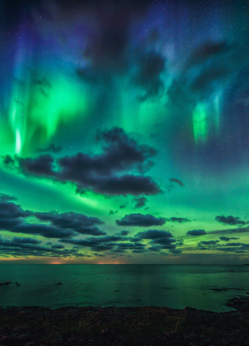 opticxllyaroused:    Auroras Above The Sea by   M.T.L Photography   Gorgeous