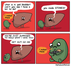 lolfactory:  gall bladder’s last day- tumblr pictures - Why Cats Are The Worst