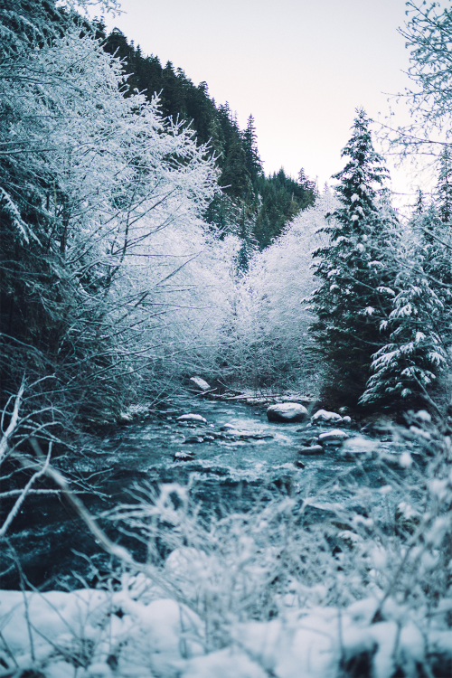 earth-dream:  Winter in Washington