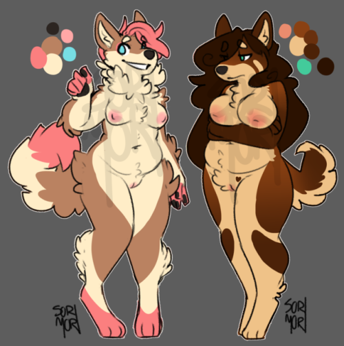 sorimori:  shiba content, price boosted slightly cause yesterday’s went way too fast Price: ุRULES:- you can edit the designs any way you like. add/change gender, coloration, whatever- do not resell for more than ุ- message to claim!A- @princess-everd