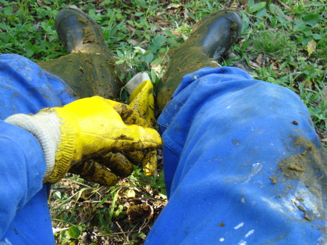 Farm-Worker:puh, Es War Ein Sehr Harter Tag.phew, It Was A Very Hard Day.uff, Bio