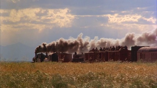 Porn Pics master-shots:  Days of Heaven (1978) DP: