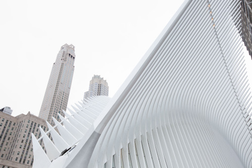 iheartmyart: Architect Santiago Calatrava’s World Trade Center Transportation Hub aka the