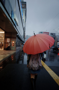 toshibu:  雨の一日 by kaz* on Flickr.