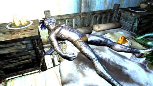 You wake up absolutely confused as to why there are naked argonians all over your room. You yourself aren’t covered more than them, and this is all you can remember before it all goes into a blank.Note to self, no more excessive drinking of mead.Mod