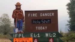 countrygirl2136:  bug-dad:  Meanwhile, In California.    I PASS BY THIS SIGN EVERY FUCKING WEEK