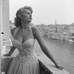 theimpossiblecool:  Sophia Loren, Venice, 1955. 