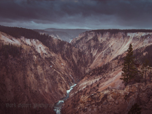 darkspherephotography:Solitude