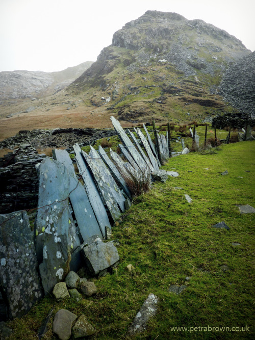 mydododied:The crooked teeth of the traditional welsh slate fence make for a great foreground to a p