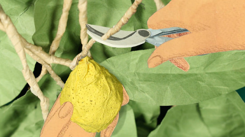 itscolossal:A Gardener Spreads Joy Through the Cultivation of Lemon Trees in a New Animated Short&nb