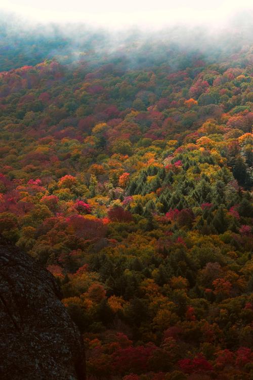 amazinglybeautifulphotography:Foliage from Sleeping Beauty, Upstate NY [OC] [2725x4088] - Author: mo