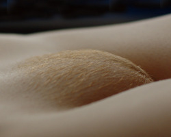 bushisbeautiful:  Golden Curves! by MLR Photo Art! mlrphotoart.tumblr.com 