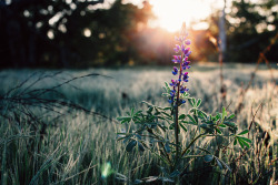 just-breezy:  Trabuco Creek Trail Evan Gage