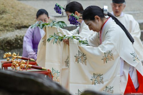 旬祭   @KASUGASHRINE