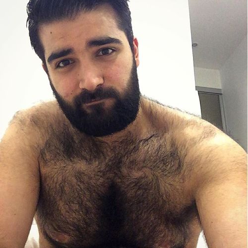 Oliviero 4 hairy!
