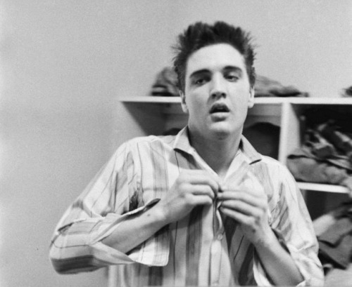 elvis-pink-cadillac:  don’t forget to tell your favorite people you love them ♡