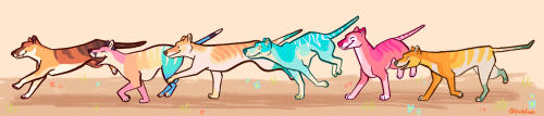 ✨ Colourful Thylacine Squad Frolicking! Go, Lesbians, Goooo✨