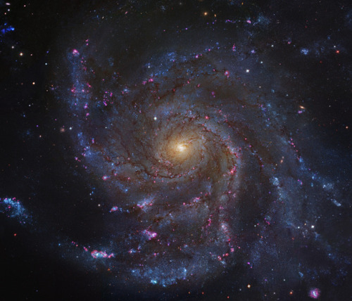 Messier 101 by Robert Gendler