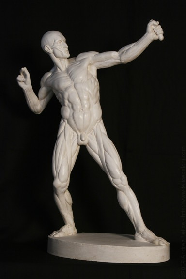 anatomicalart:  fucktonofanatomyreferences:  A workable fuck-ton of male archery