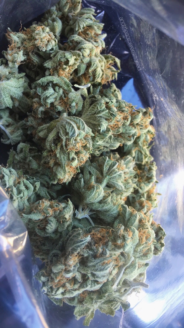 andthesorcerersstoned:Some Gorilla Glue #4 🔥