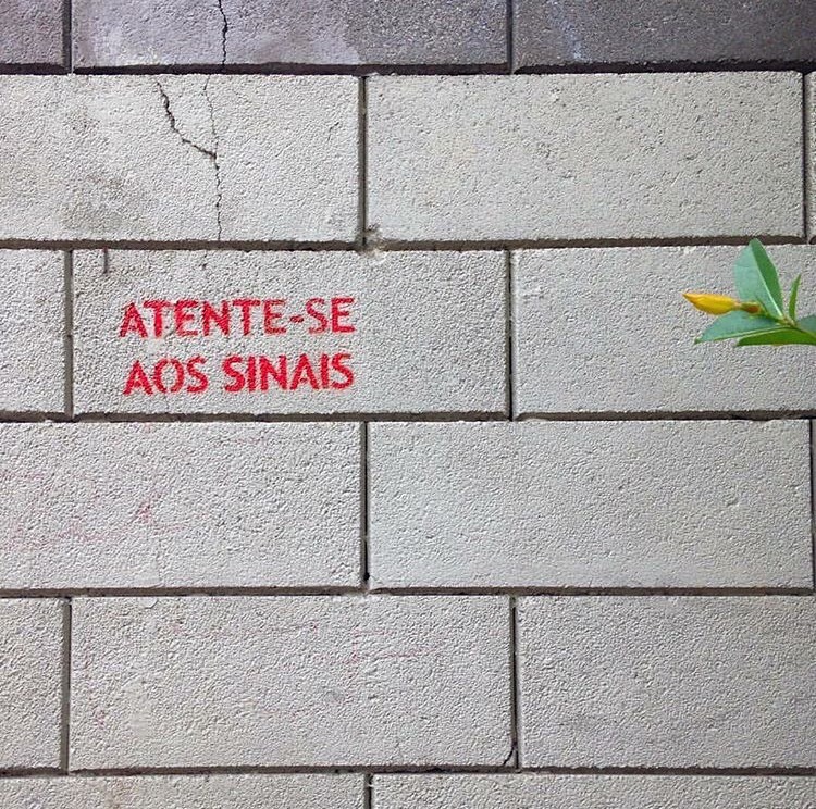 grafitex:  ✖️